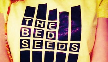 The Bed Seeds - Everything Is Perfect for a While